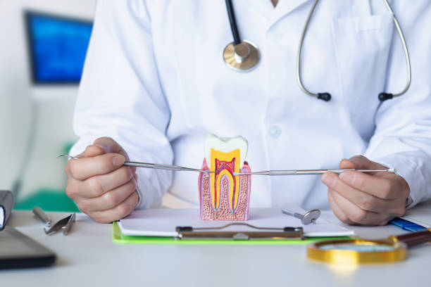 Best Emergency Dental Care for Trauma or Injury in Morenci, AZ